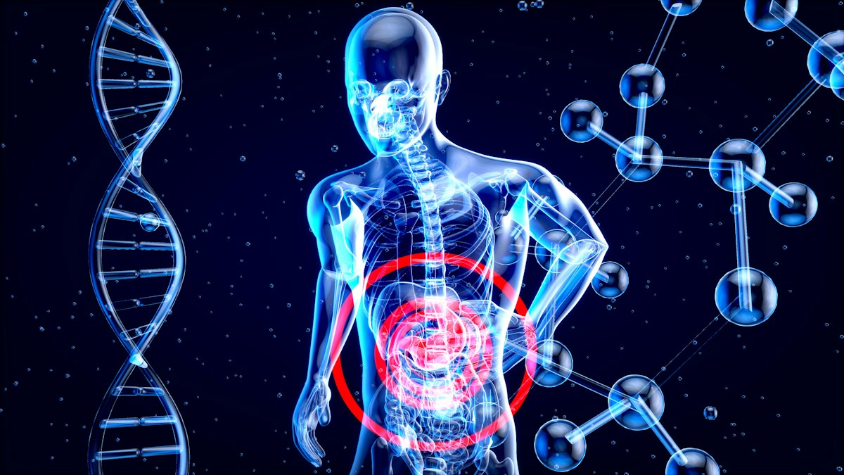 Alimentos probióticos naturales